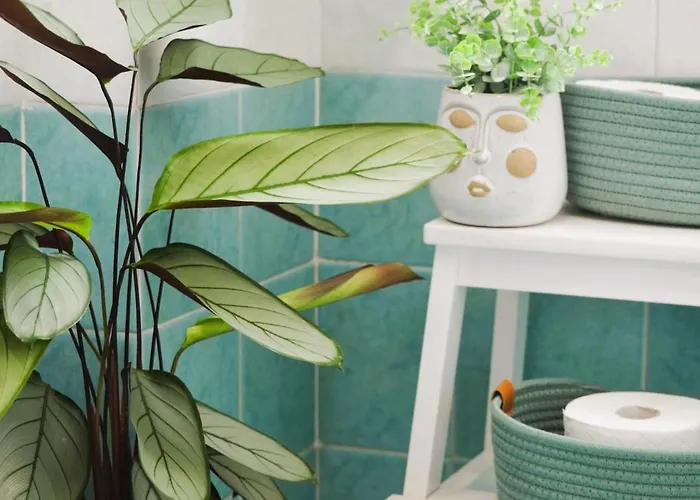 Attico Aurelia Antica Апартаменты *